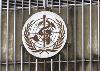 OMS identifica tratamentos e vacinas para serem testados contra Ebola