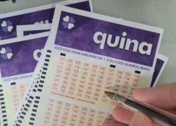 Quina hoje, concurso 7033: Confira o resultado sorteado neste sábado (23)