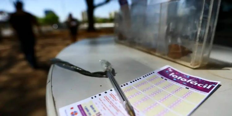 Lotofácil hoje, concurso 3703: Confira o resultado sorteado nesta sexta (5)